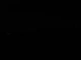 Záznam