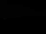 Záznam