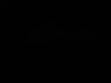 Záznam