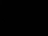 Záznam