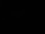 Záznam