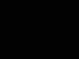 Záznam