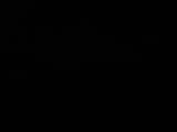Záznam