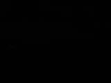 Záznam