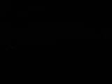 Záznam