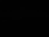 Záznam