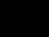 Záznam