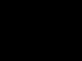 Záznam