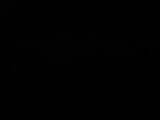 Záznam