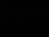 Záznam
