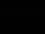 Záznam