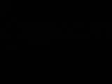 Záznam