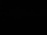 Záznam