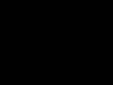 Záznam
