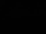 Záznam