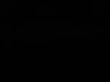 Záznam