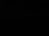 Záznam