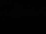 Záznam