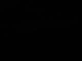 Záznam