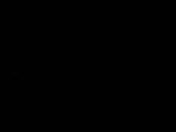 Záznam