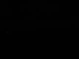 Záznam