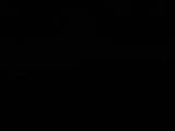 Záznam