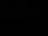 Záznam