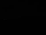 Záznam