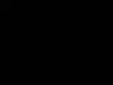 Záznam