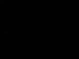 Záznam