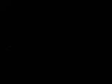 Záznam