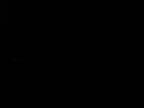 Záznam