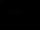 Záznam