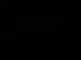 Záznam