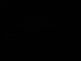 Záznam