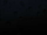 06 : 36