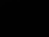 19 : 04